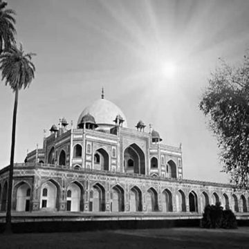 Importance of Dialogue and Consensus in Democracy—A Reflection on the Current Political Climate